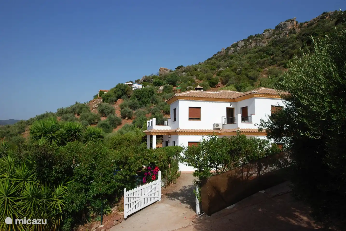 Omringd door de natuur.