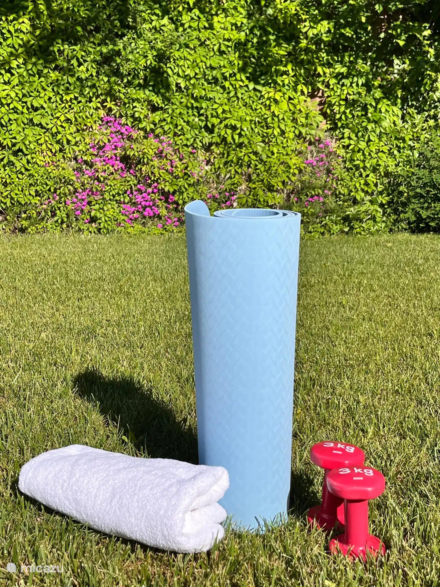yogamoment