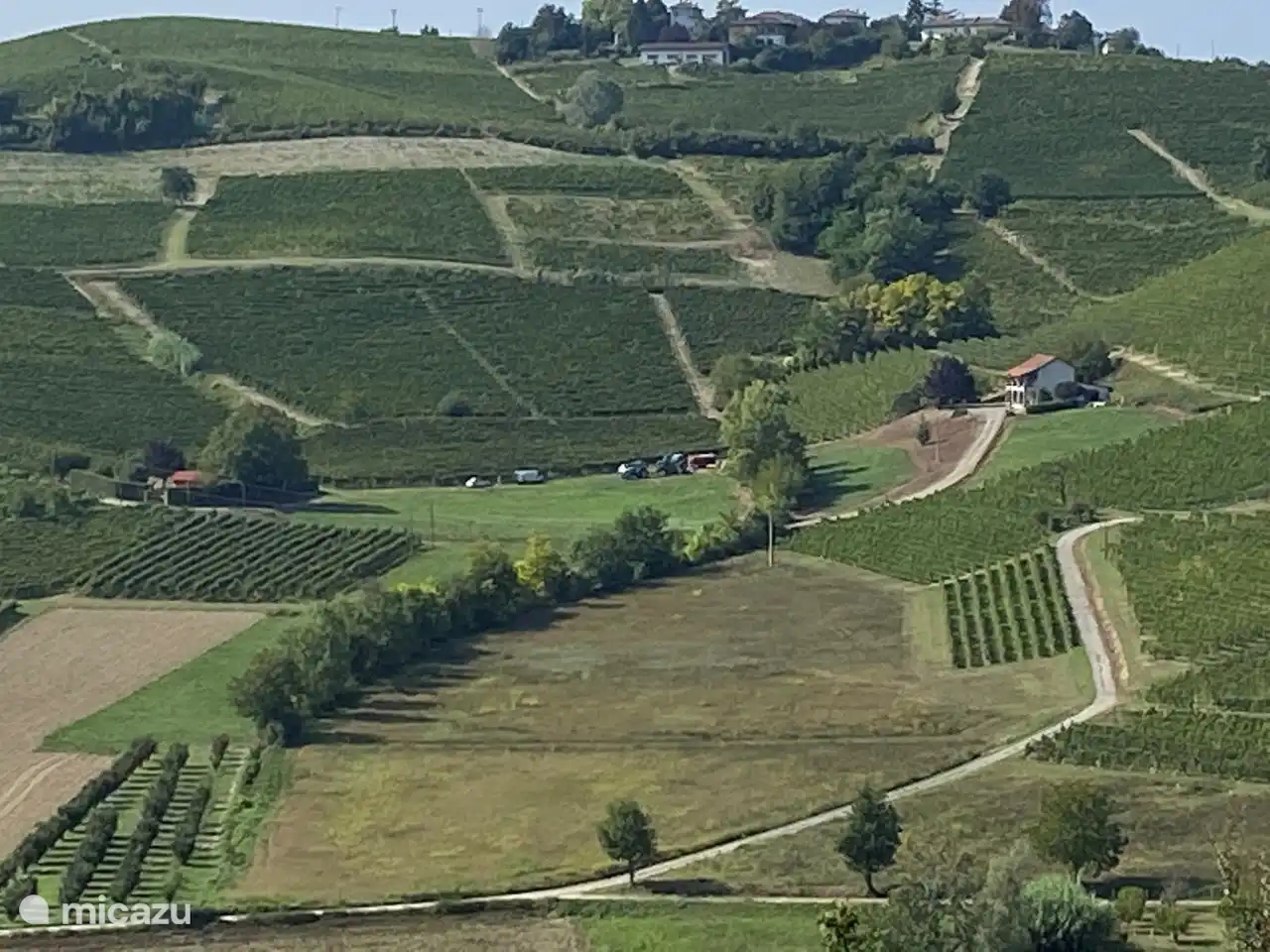 En medio de los viñedos con unas vistas espectaculares.