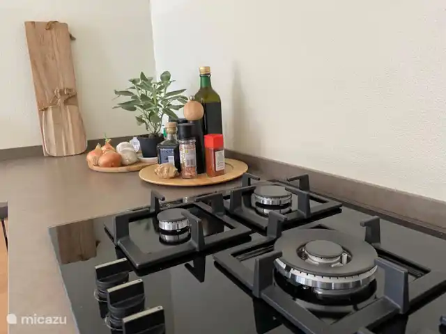 Nel Vigneto huren in Italië, Piëmont, Canelli - vakantiehuis 5-pits kookplaat.