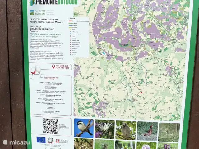 Nel Vigneto huren in Italië, Piëmont, Canelli - vakantiehuis diverse wandel en fietsroutes in de omgeving.