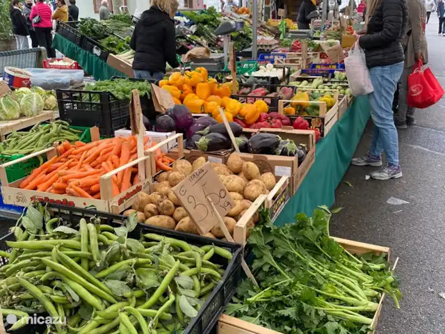Nel Vigneto huren in Italië, Piëmont, Canelli - vakantiehuis De markt in Canelli