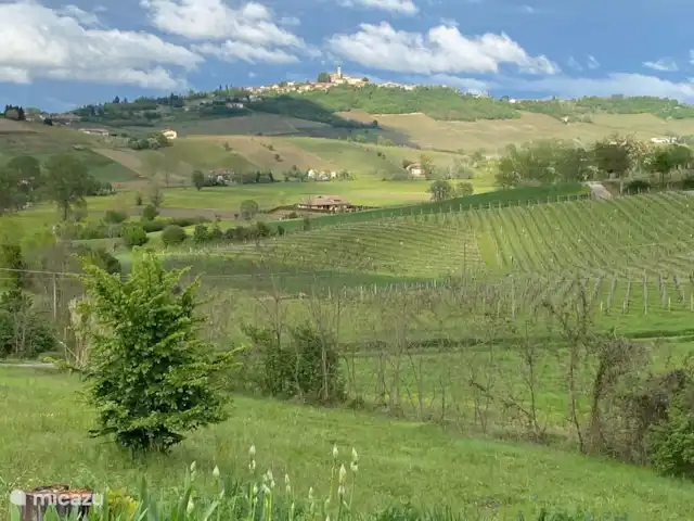 Nel Vigneto huren in Italië, Piëmont, Canelli - vakantiehuis Ons uitzicht : het dorp San Marzano Oliveto