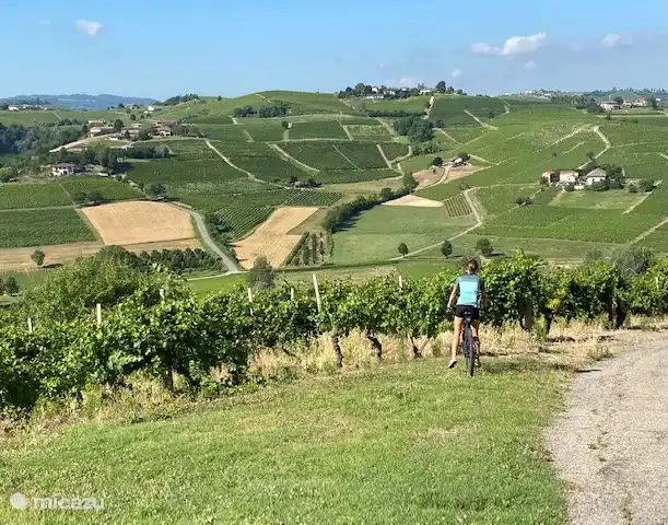 Las bicicletas eléctricas de montaña están disponibles para alquilar en Canelli e incluso se entregarán en la casa.