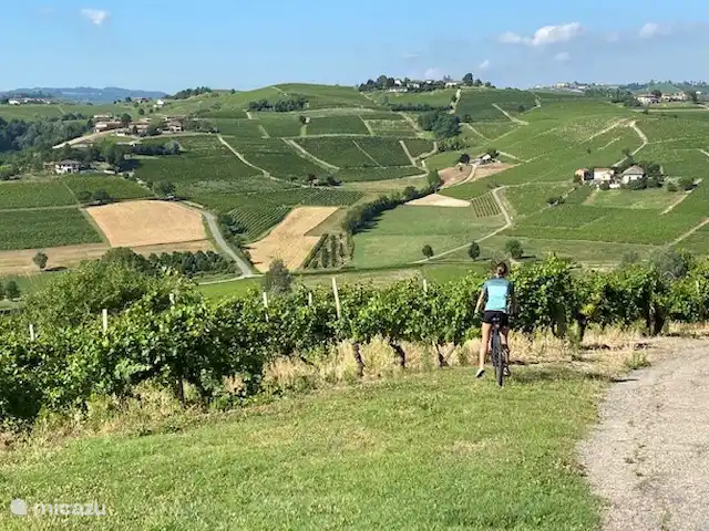 Nel Vigneto huren in Italië, Piëmont, Canelli - vakantiehuis Elektrische mountainbikes zijn te huur in Canelli en worden zelfs naar het huis gebracht.