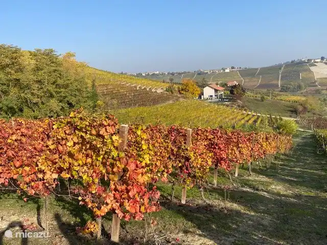 Nel Vigneto huren in Italië, Piëmont, Canelli - vakantiehuis Herfst in Canelli.