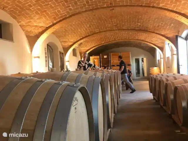 Nel Vigneto huren in Italië, Piëmont, Canelli - vakantiehuis een van de vele wijnhuizen.