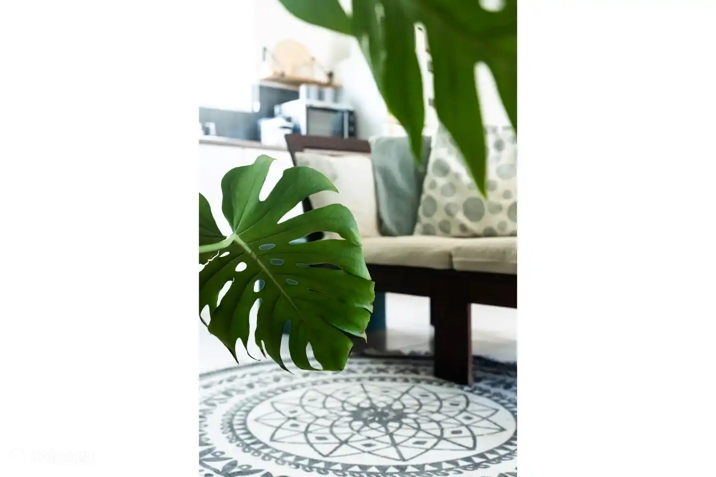 Living room - detail