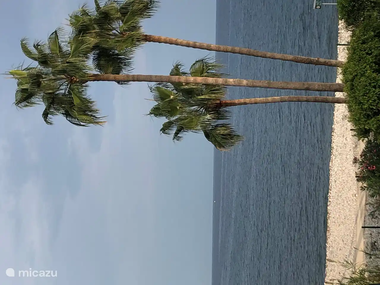 vue depuis la terrasse