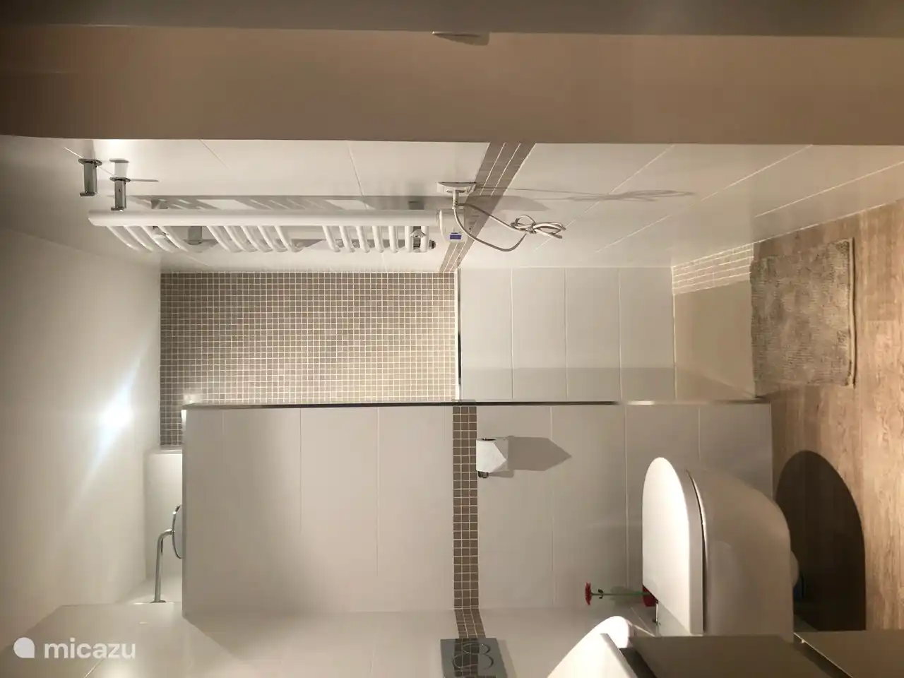 douche à l'italienne