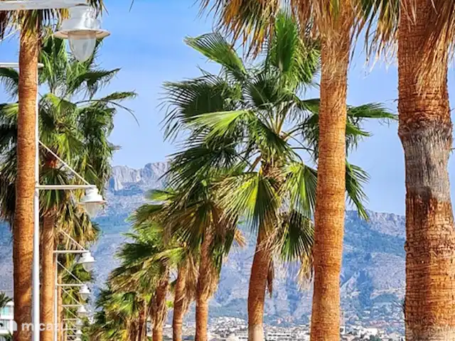 Maison Natalia | Espagne, Costa Blanca, Altea - appartement promenade à pied Altea