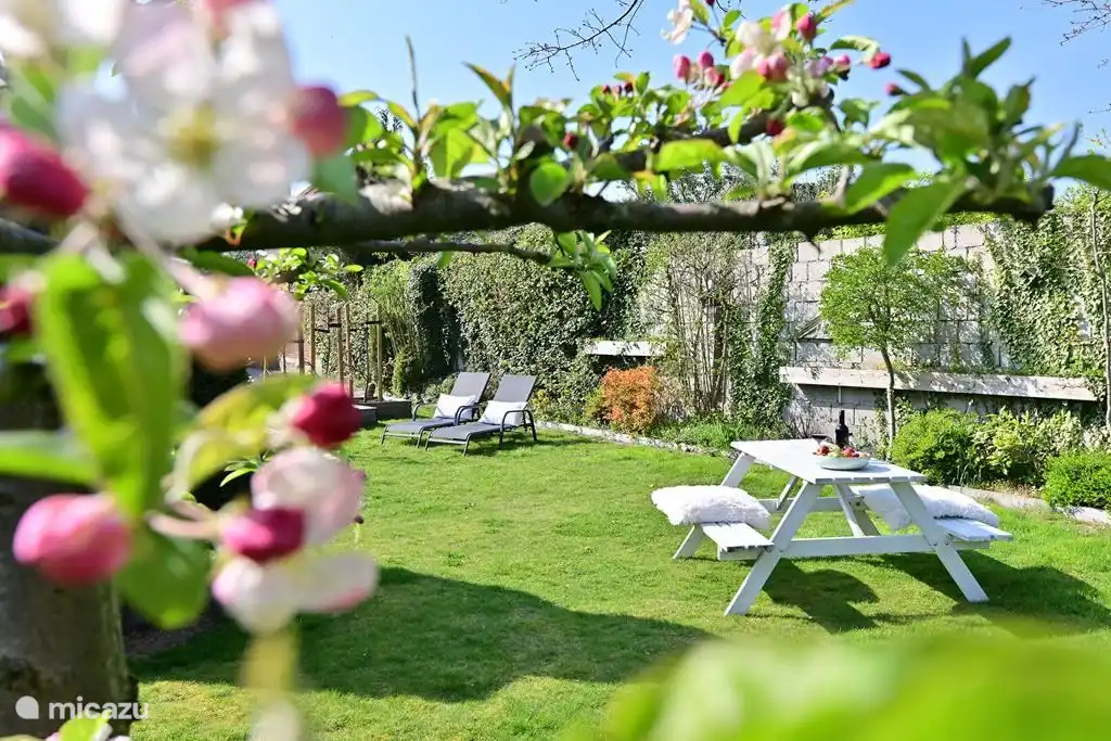 The garden in spring