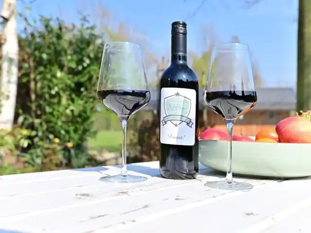 Maison de vacances Stoer | Pays-Bas, Limbourg, Valkenburg - appartement Nos clients reçoivent une bouteille de vin à l'arrivée qui correspond à la saison