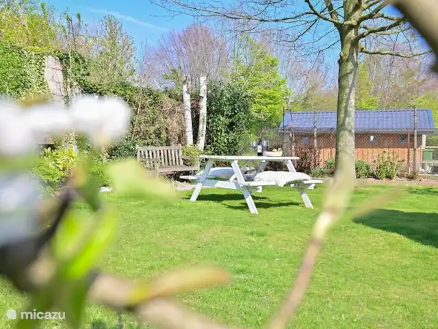 Maison de vacances Stoer | Pays-Bas, Limbourg, Valkenburg - appartement Vous avez du soleil toute la journée dans le jardin et vous pouvez utiliser différentes aires de repos et de repos