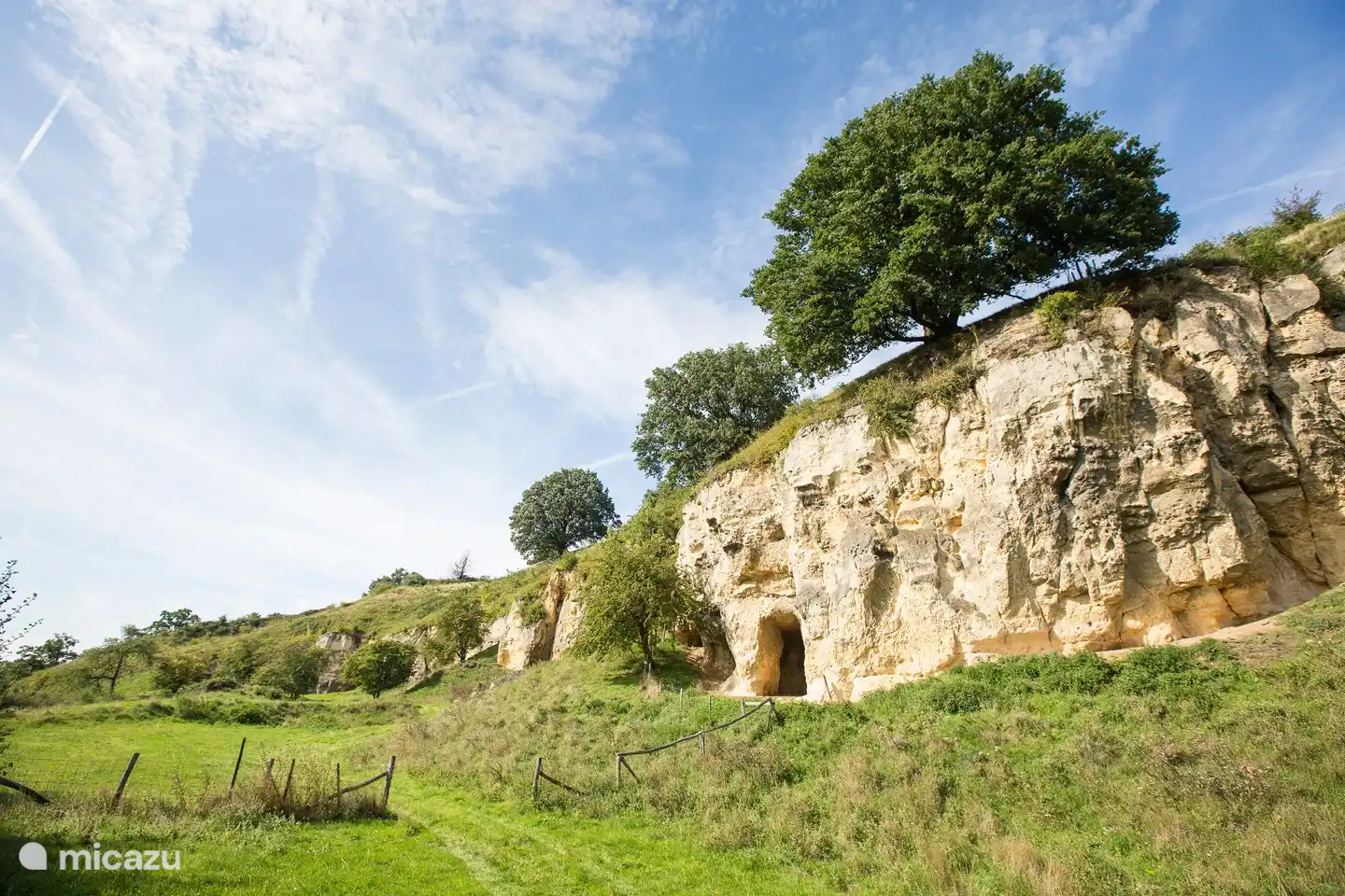 A marl wall in Schin op Geul