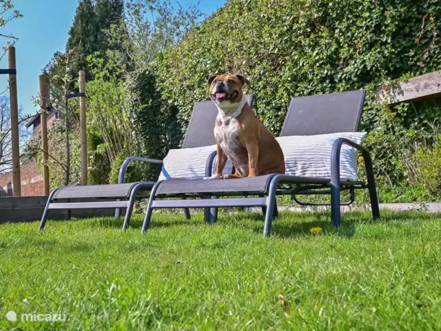 Maison de vacances Stoer | Pays-Bas, Limbourg, Valkenburg - appartement Notre Ziva
