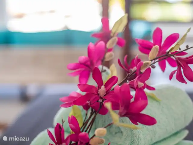 Incroyable villa de luxe à Vista Royal. | Curaçao, Banda Ariba (est), Vista Royal - villa Diverses fleurs dans le jardin.