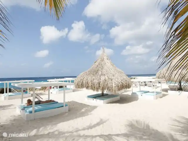 Incroyable villa de luxe à Vista Royal. | Curaçao, Banda Ariba (est), Vista Royal - villa Le club de plage de Papagayo est à distance de marche de la villa