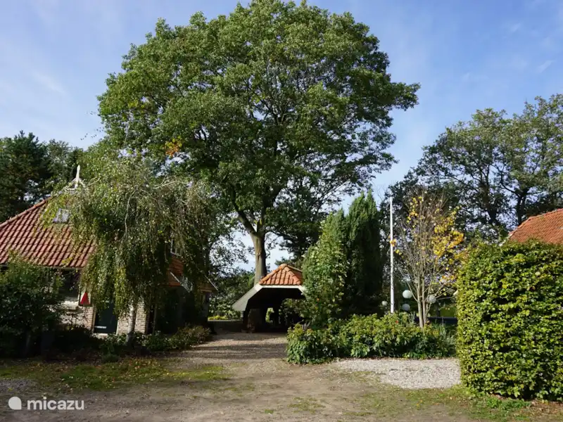 Saksisch boerderijtje huren in Nederland, Gelderland, Eibergen - Boerderij Saksisch boerderijtje huren in Nederland, Gelderland, Eibergen - Boerderij