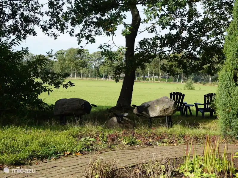 Saksisch boerderijtje huren in Nederland, Gelderland, Eibergen - Boerderij Saksisch boerderijtje huren in Nederland, Gelderland, Eibergen - Boerderij