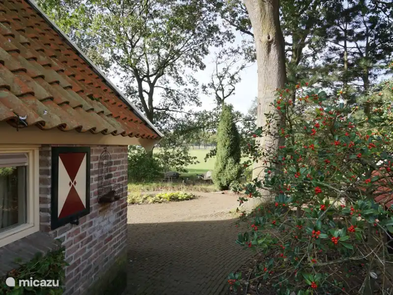 Saksisch boerderijtje huren in Nederland, Gelderland, Eibergen - Boerderij Saksisch boerderijtje huren in Nederland, Gelderland, Eibergen - Boerderij