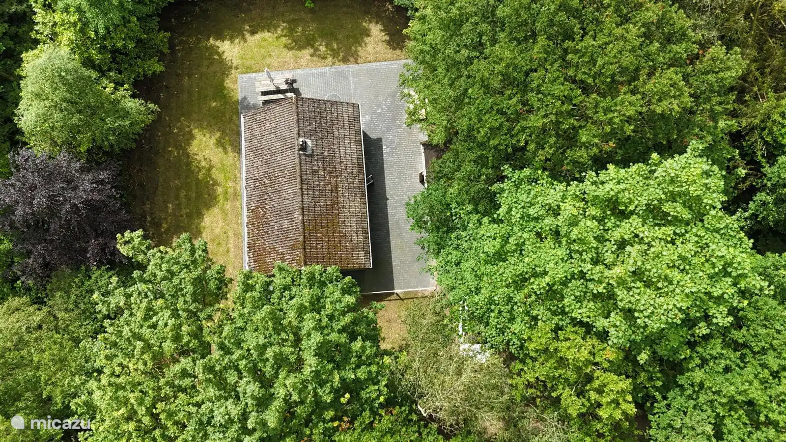 Von oben sieht man, wie bewaldet die Gegend ist. 