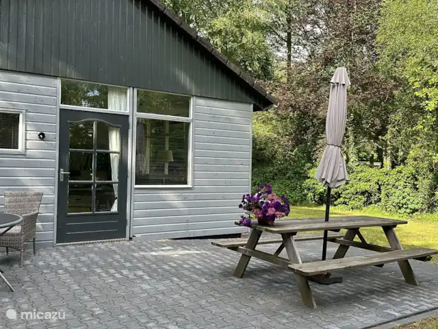 Huuske Woeste Wolden | Pays-Bas, Drenthe, Zuidwolde - maison de vacances La terrasse est orientée plein sud. D’où le parasol.  En été, des transats sont également disponibles.