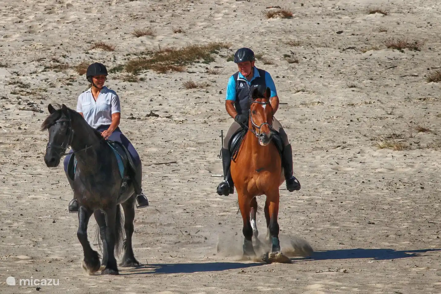 Mit Ihrem Pferd von Steiloever in die Sahara in Ommen. Das ist Genuss. 