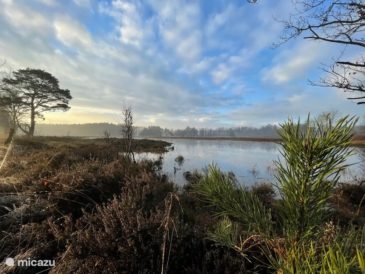 Sie können wandern, reiten, Mountainbiken oder ein Buch lesen.