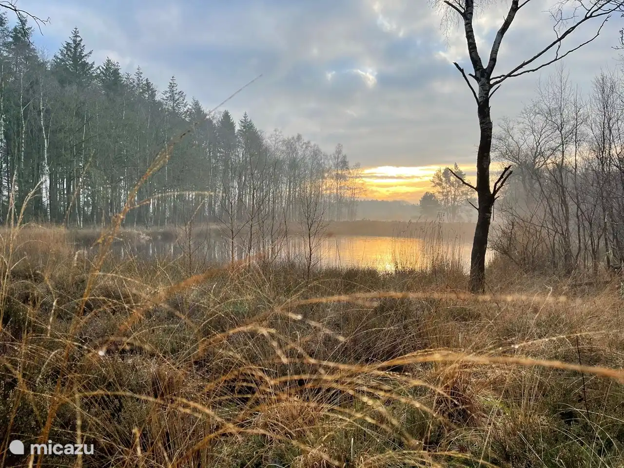 Die Chancen stehen gut, dass Sie hier ein Reh finden. 