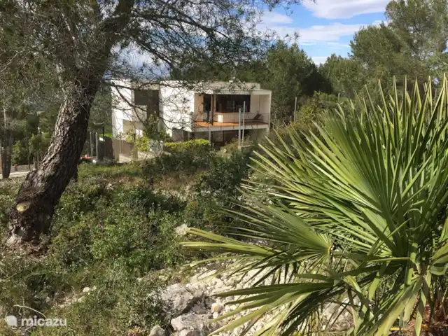 Villa Vicente | Espagne, Barcelone, Canyelles - villa Environnement