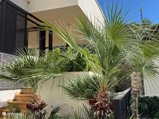 Villa Vicente | Espagne, Barcelone, Canyelles - villa Conduire