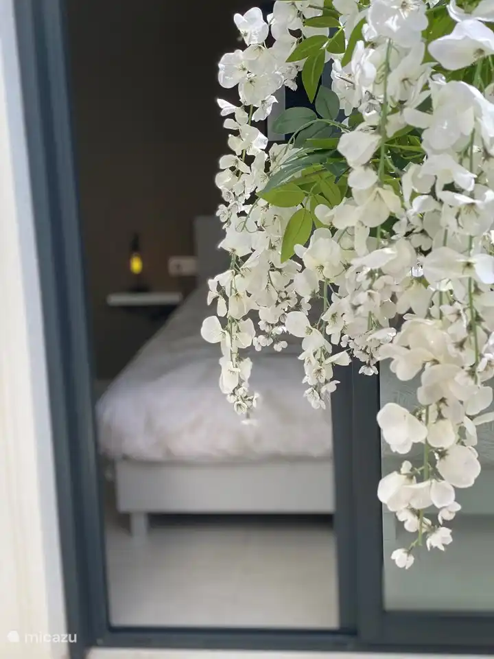 Toutes les chambres donnent sur notre patio.