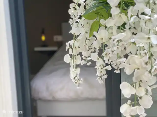 Villa Surte en España, Costa Blanca, Pilar de la Horadada - bungaló Todas las habitaciones tienen vistas a nuestro patio.