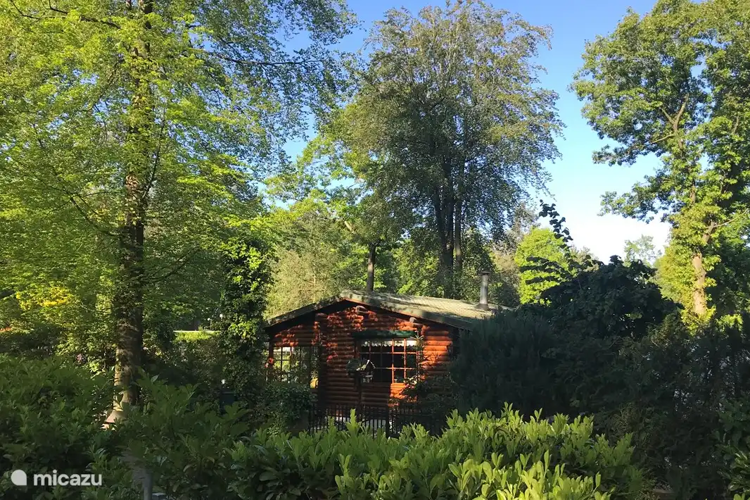 Boshuis Borkeld Houten Cabin Holten In Holten Overijssel Huren Micazu Vakantiehuizen van nederlanders in 60 landen wereldwijd! boshuis borkeld houten cabin holten in