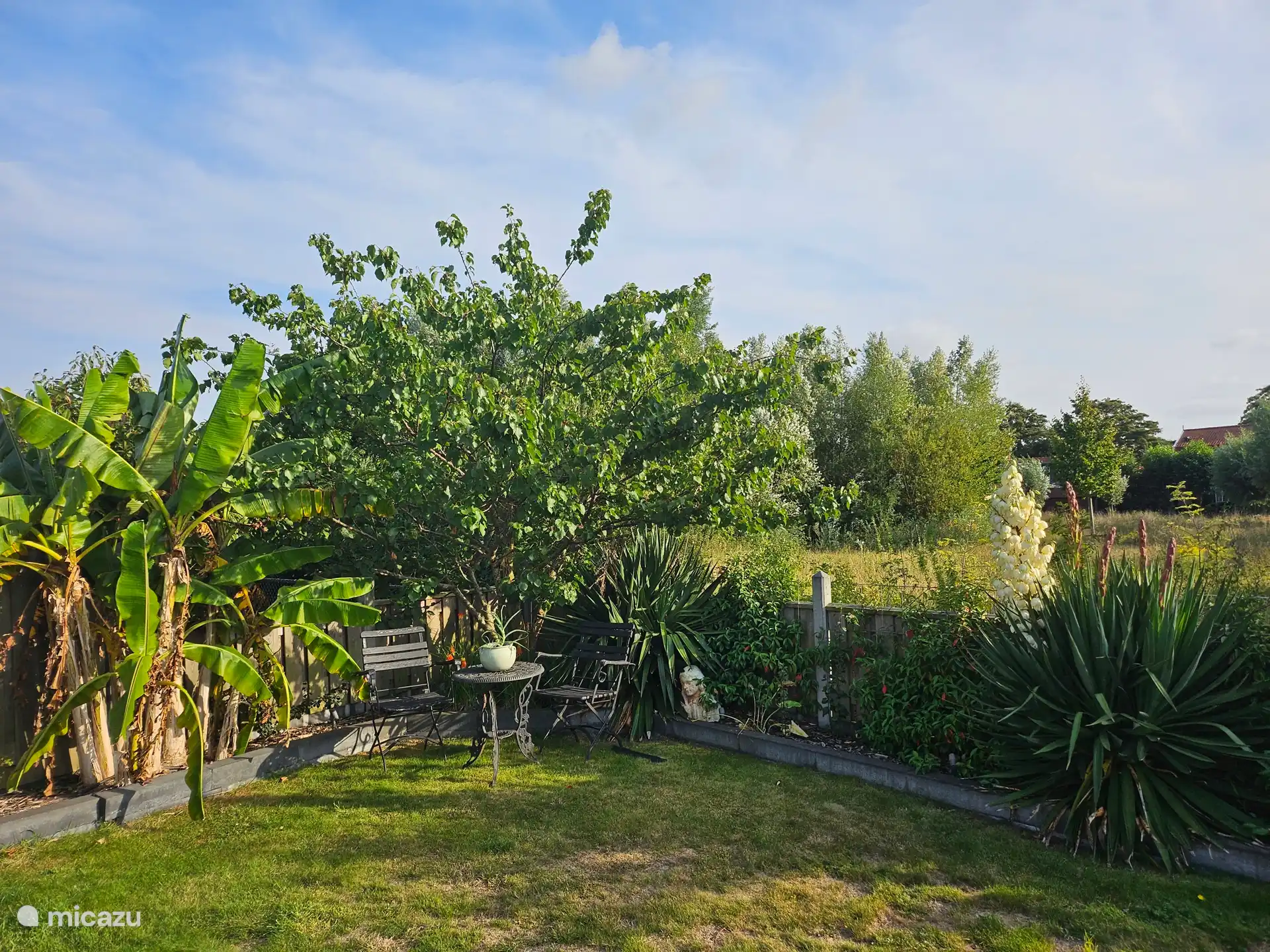 Mittlerweile ist aus dem winzigen Wald ein wunderschöner Wald geworden