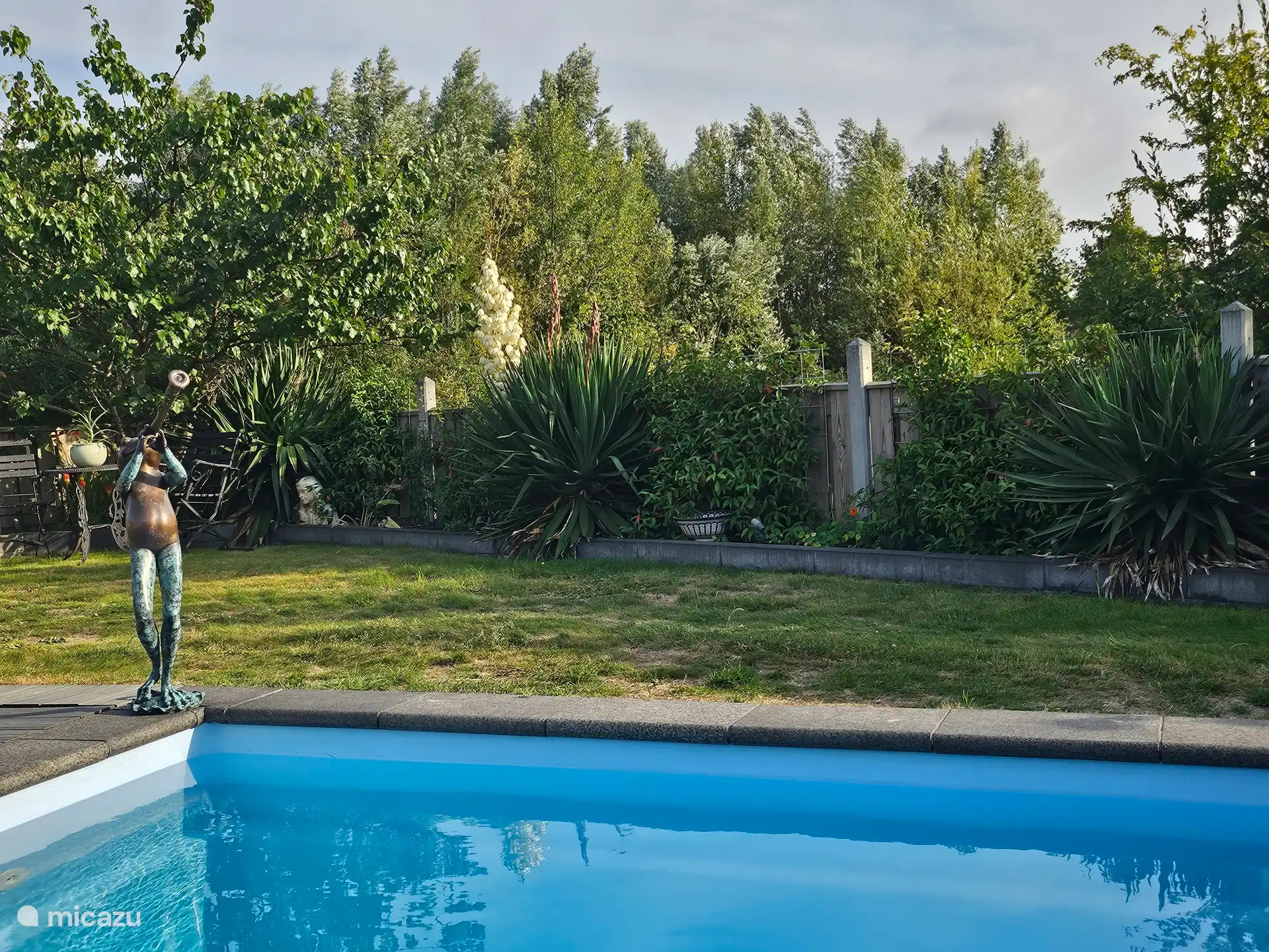 Der Frosch spuckt etwas Wasser aus