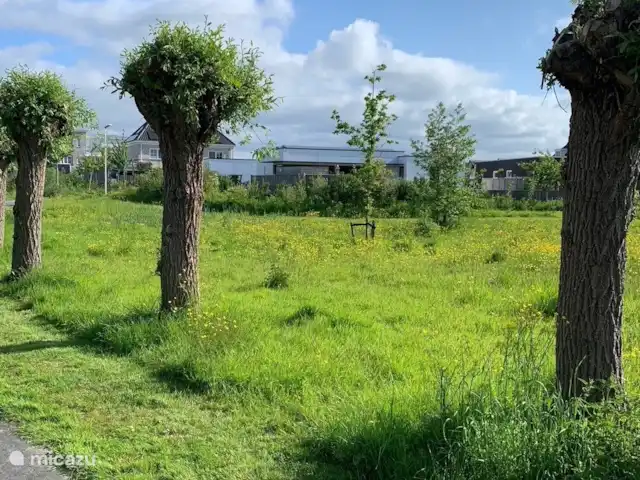 Villa Courtgène avec piscine privée | Pays-Bas, Zélande, Kortgene - villa au printemps...