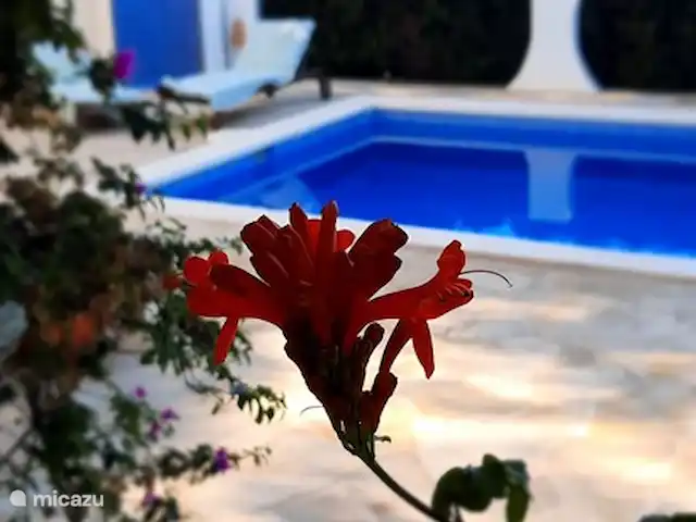 Villa Bertil en España, Costa Blanca, Benissa - villa