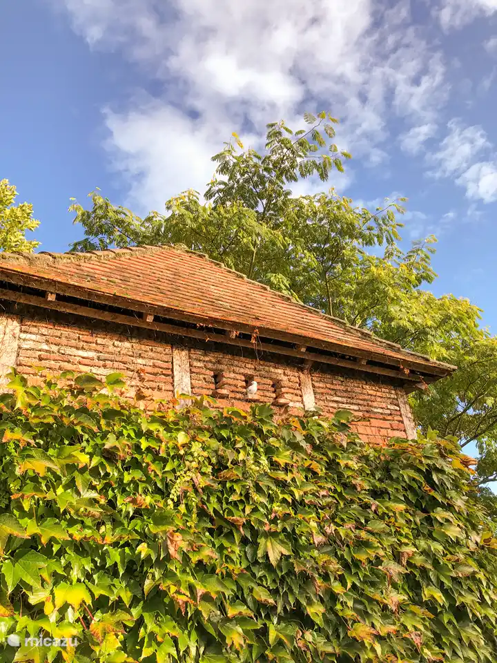 De Duiventil: ein zusätzliches Schlafzimmer + Badezimmer mitten im Garten. Romantisch!