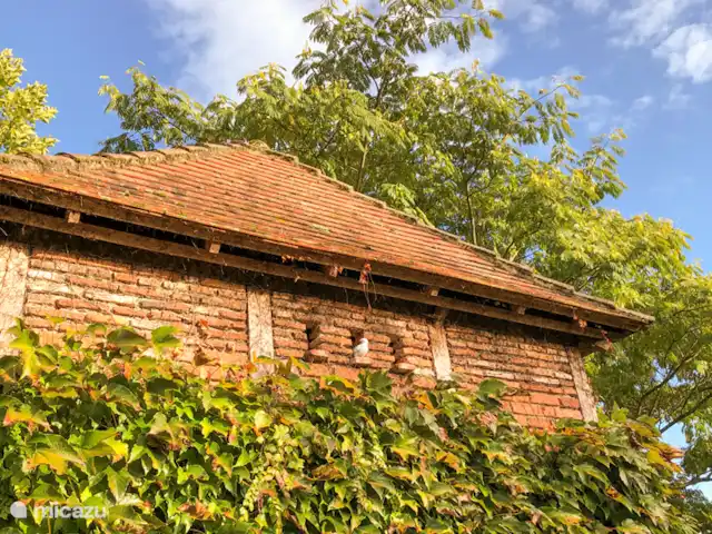 Casa Lavaud Jacquot en Francia, Dordoña, Payzac - casa vacacional De Duiventil: un dormitorio extra + baño en medio del jardín. ¡Romántico!