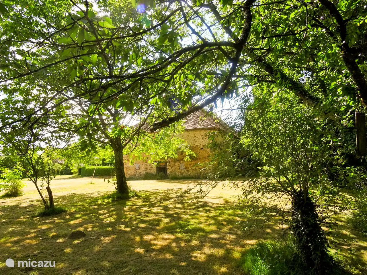 Der schöne Garten mit Obstbäumen