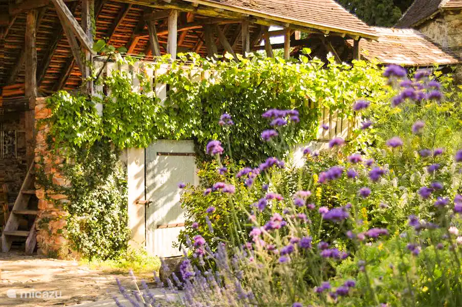 Schöne Blumen im Garten