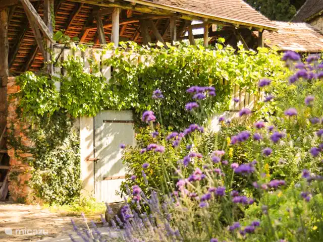 Casa Lavaud Jacquot en Francia, Dordoña, Payzac - casa vacacional Hermosas flores en el jardín.
