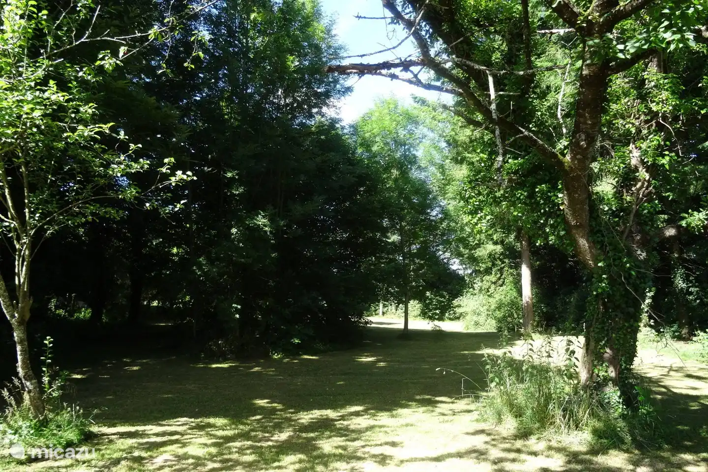 Viel Platz zum Spielen im Garten oder zum Wandern zwischen den Obstbäumen
