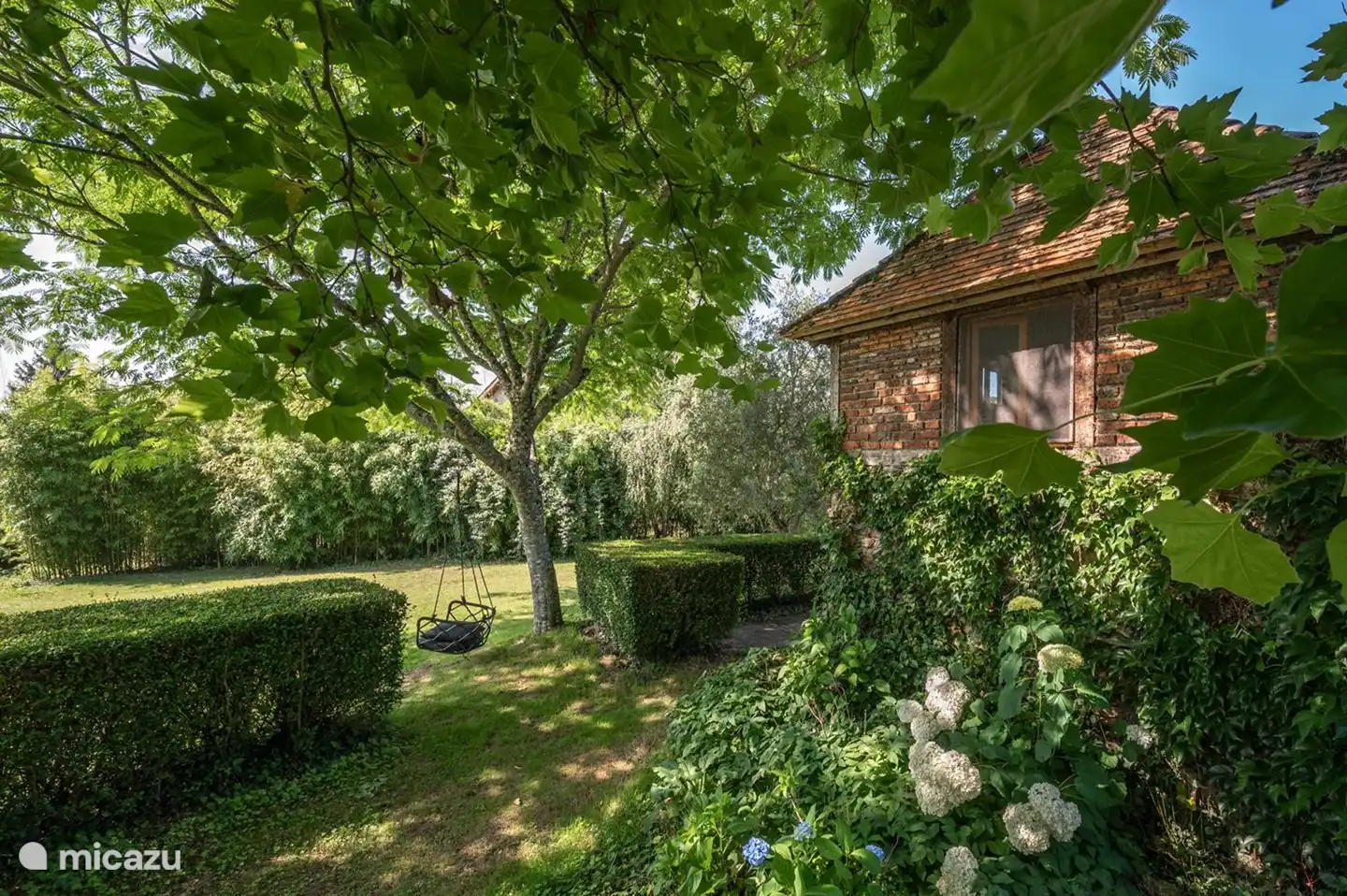 Hängesessel, um ein Buch zu lesen