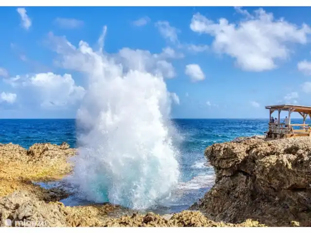 Piscadera Bay Resort 21 en Curazao, Curazao Centro, Piscadera - bungaló Parque Nacional Shete Boka
