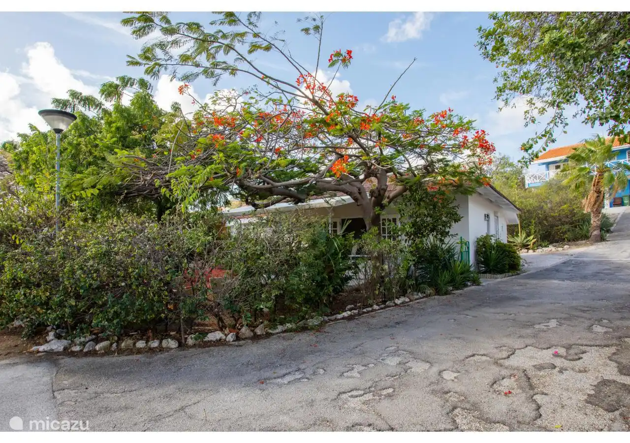 Piscadera Bay Resort 22 in Curaçao, Curacao-Mitte, Piscadera - bungalow