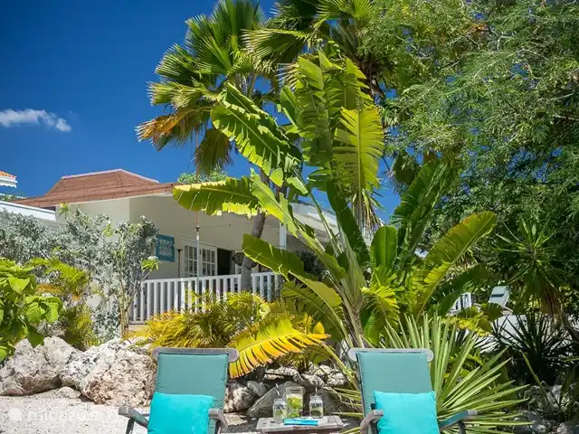 Piscadera Bay Resort 23 huren in Curaçao, Curacao-Midden, Piscadera - bungalow Tropiche tuin