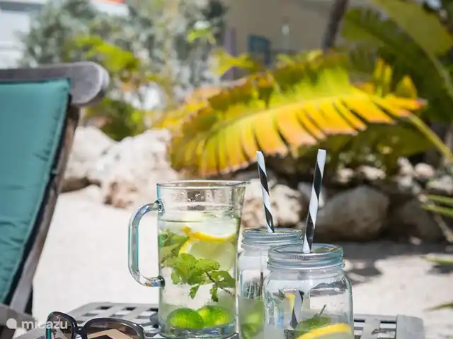 Piscadera Bay Resort 23 huren in Curaçao, Curacao-Midden, Piscadera - bungalow gin tonic